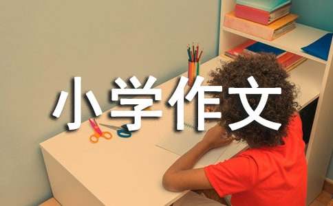 月光下的影子小学作文