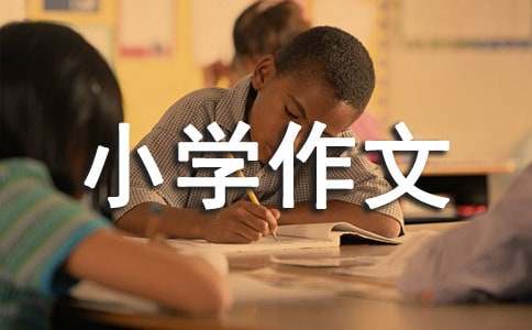 惨烈场景让我心里滴血小学作文